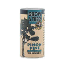 Load image into Gallery viewer, Piñon Pine | Seed Grow Kit | The Jonsteen Company