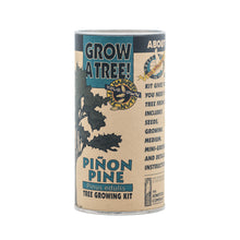 Load image into Gallery viewer, Piñon Pine | Seed Grow Kit | The Jonsteen Company