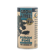 Load image into Gallery viewer, Piñon Pine | Seed Grow Kit | The Jonsteen Company