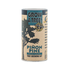 Load image into Gallery viewer, Piñon Pine | Seed Grow Kit | The Jonsteen Company