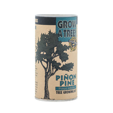 Load image into Gallery viewer, Piñon Pine | Seed Grow Kit | The Jonsteen Company