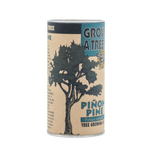 Load image into Gallery viewer, Piñon Pine | Seed Grow Kit | The Jonsteen Company