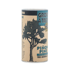 Piñon Pine | Seed Grow Kit | The Jonsteen Company