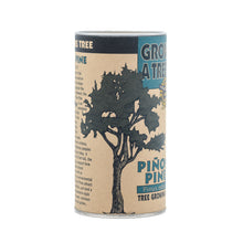 Load image into Gallery viewer, Piñon Pine | Seed Grow Kit | The Jonsteen Company