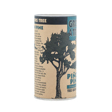 Load image into Gallery viewer, Piñon Pine | Seed Grow Kit | The Jonsteen Company