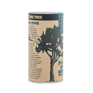 Piñon Pine | Seed Grow Kit | The Jonsteen Company