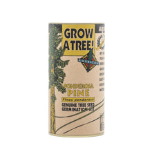 Load image into Gallery viewer, Ponderosa Pine | Seed Grow Kit | The Jonsteen Company