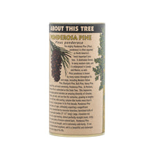 Load image into Gallery viewer, Ponderosa Pine | Seed Grow Kit | The Jonsteen Company