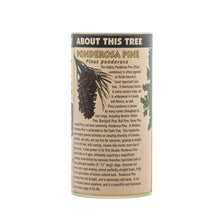 Load image into Gallery viewer, Ponderosa Pine | Seed Grow Kit | The Jonsteen Company