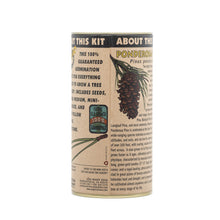 Load image into Gallery viewer, Ponderosa Pine | Seed Grow Kit | The Jonsteen Company