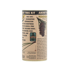 Load image into Gallery viewer, Ponderosa Pine | Seed Grow Kit | The Jonsteen Company