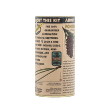 Load image into Gallery viewer, Ponderosa Pine | Seed Grow Kit | The Jonsteen Company