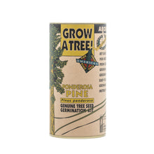 Load image into Gallery viewer, Ponderosa Pine | Seed Grow Kit | The Jonsteen Company