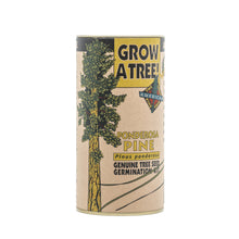 Load image into Gallery viewer, Ponderosa Pine | Seed Grow Kit | The Jonsteen Company