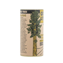 Load image into Gallery viewer, Ponderosa Pine | Seed Grow Kit | The Jonsteen Company