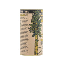 Load image into Gallery viewer, Ponderosa Pine | Seed Grow Kit | The Jonsteen Company