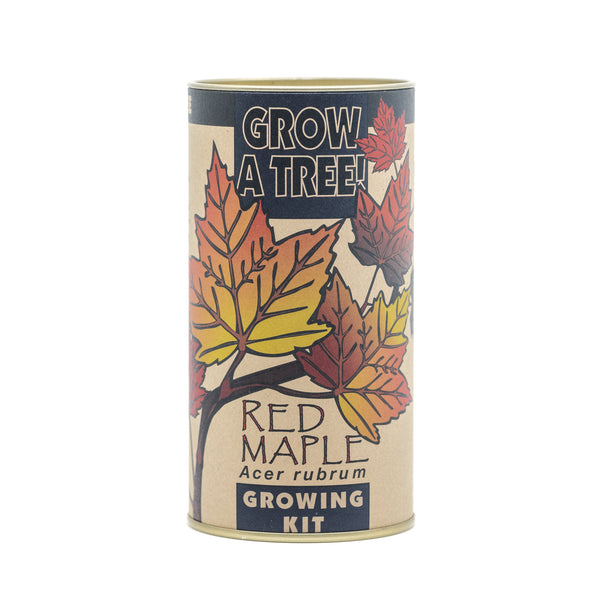 Red Maple | Seed Grow Kit | The Jonsteen Company