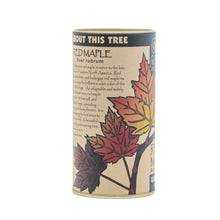 Load image into Gallery viewer, Red Maple | Seed Grow Kit | The Jonsteen Company