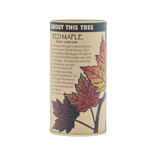 Load image into Gallery viewer, Red Maple | Seed Grow Kit | The Jonsteen Company