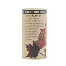 Load image into Gallery viewer, Red Maple | Seed Grow Kit | The Jonsteen Company