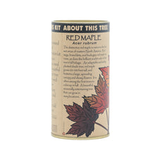 Load image into Gallery viewer, Red Maple | Seed Grow Kit | The Jonsteen Company