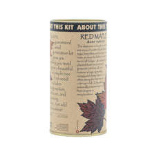 Load image into Gallery viewer, Red Maple | Seed Grow Kit | The Jonsteen Company
