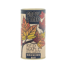 Load image into Gallery viewer, Red Maple | Seed Grow Kit | The Jonsteen Company