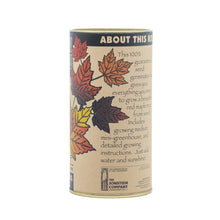 Load image into Gallery viewer, Red Maple | Seed Grow Kit | The Jonsteen Company