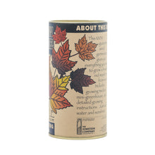 Load image into Gallery viewer, Red Maple | Seed Grow Kit | The Jonsteen Company