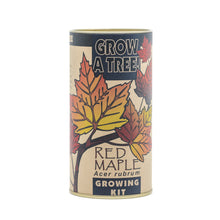 Load image into Gallery viewer, Red Maple | Seed Grow Kit | The Jonsteen Company