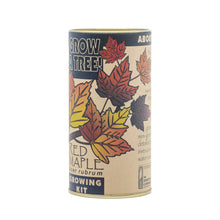 Load image into Gallery viewer, Red Maple | Seed Grow Kit | The Jonsteen Company