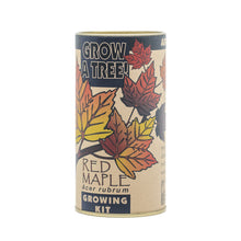 Load image into Gallery viewer, Red Maple | Seed Grow Kit | The Jonsteen Company