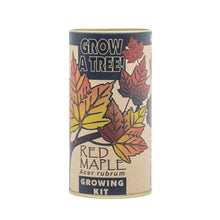 Load image into Gallery viewer, Red Maple | Seed Grow Kit | The Jonsteen Company