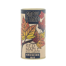 Load image into Gallery viewer, Red Maple | Seed Grow Kit | The Jonsteen Company