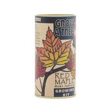 Load image into Gallery viewer, Red Maple | Seed Grow Kit | The Jonsteen Company