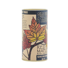 Load image into Gallery viewer, Red Maple | Seed Grow Kit | The Jonsteen Company