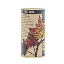 Load image into Gallery viewer, Red Maple | Seed Grow Kit | The Jonsteen Company