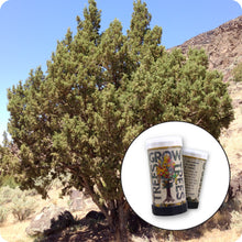 Load image into Gallery viewer, Rocky Mountain Juniper | Mini-Grow Kit | The Jonsteen Company