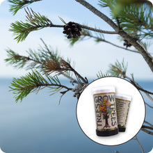 Load image into Gallery viewer, Scotch Pine | Mini-Grow Kit | The Jonsteen Company