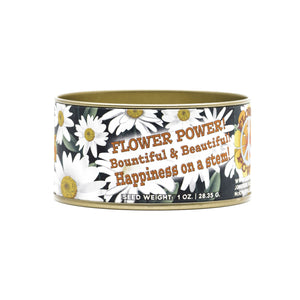 Shasta Daisy | Flower Seed Grow Kit | The Jonsteen Company