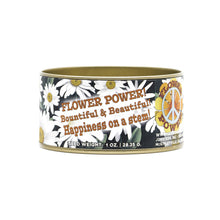 Load image into Gallery viewer, Shasta Daisy | Flower Seed Grow Kit | The Jonsteen Company