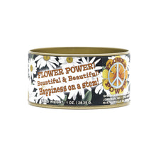 Load image into Gallery viewer, Shasta Daisy | Flower Seed Grow Kit | The Jonsteen Company