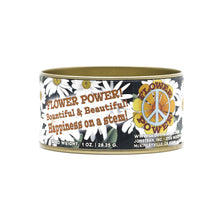 Load image into Gallery viewer, Shasta Daisy | Flower Seed Grow Kit | The Jonsteen Company