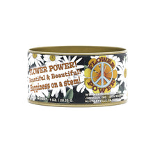 Load image into Gallery viewer, Shasta Daisy | Flower Seed Grow Kit | The Jonsteen Company
