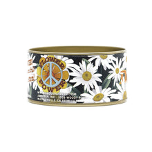 Load image into Gallery viewer, Shasta Daisy | Flower Seed Grow Kit | The Jonsteen Company