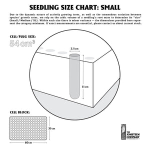 Seedling Size Chart | Small | The Jonsteen Company