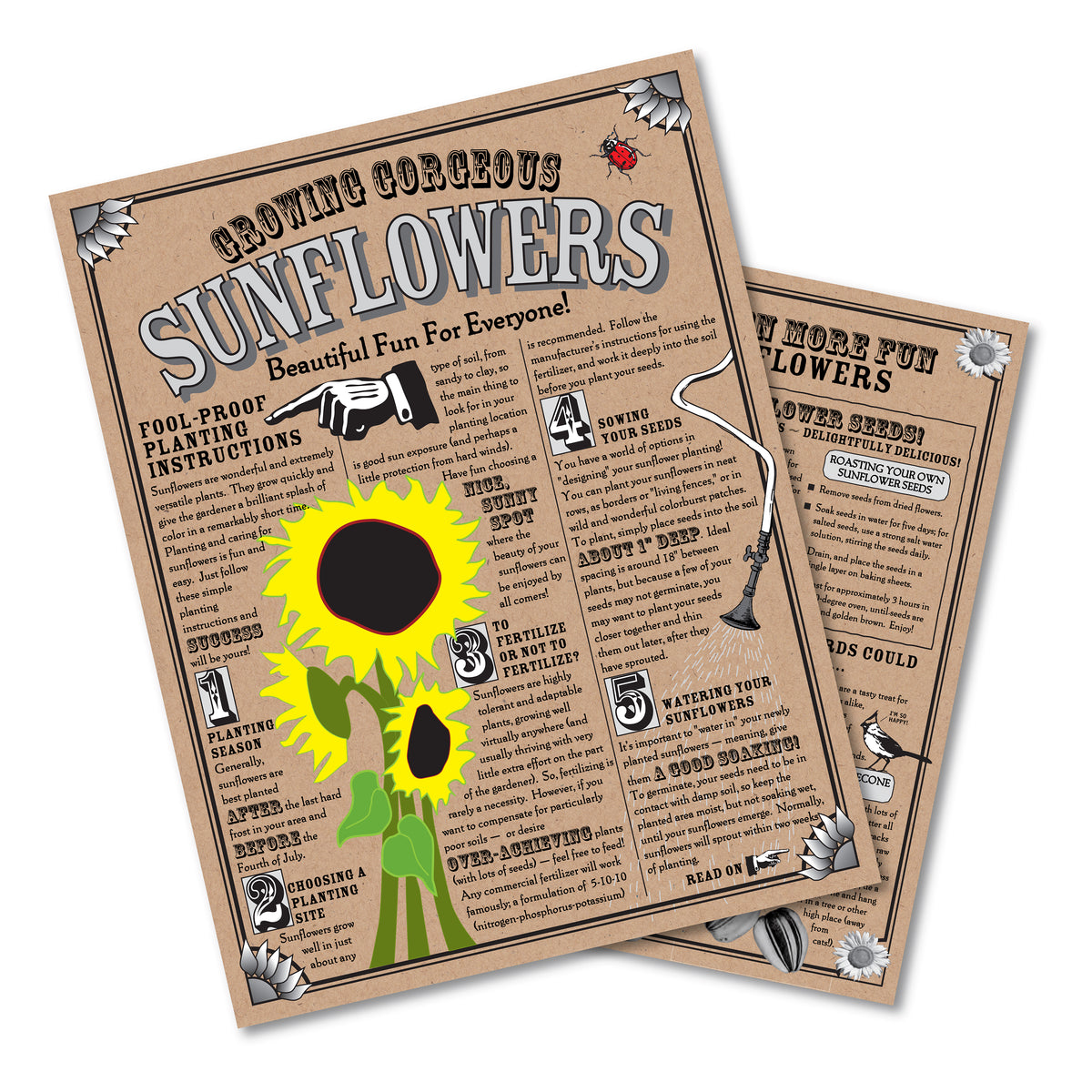 Sunflower Flower Seed Grow Kit