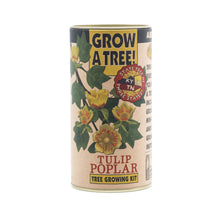 Load image into Gallery viewer, Tulip Poplar | Seed Grow Kit | The Jonsteen Company