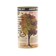 Load image into Gallery viewer, Tulip Poplar | Seed Grow Kit | The Jonsteen Company