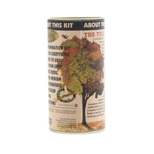 Load image into Gallery viewer, Tulip Poplar | Seed Grow Kit | The Jonsteen Company